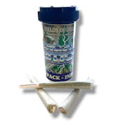 Critical 1 (10G) | Preroll 10pk | Indica