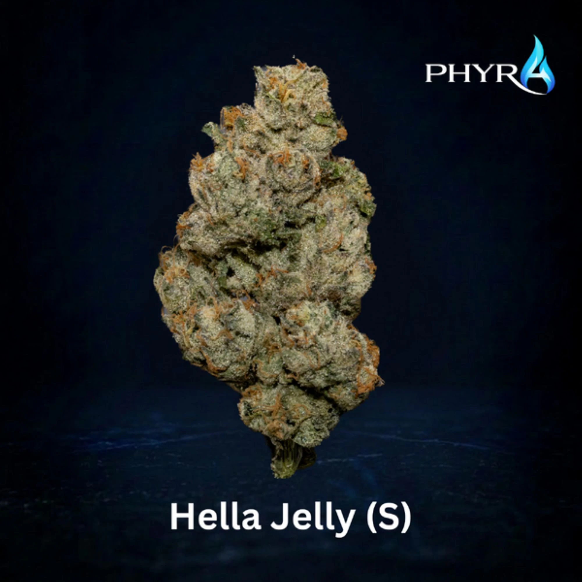 Phyra - Hella Jelly 3.5g (S) 00666 Main Image