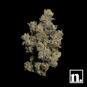 Niche | Pie Scream | 3.5g