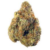 Fudgesicle | Hybrid | $60