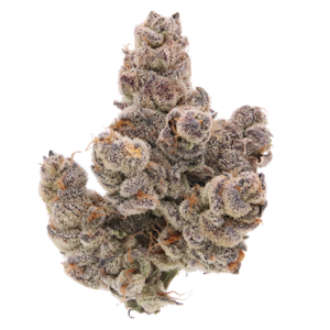 SENSE - Sense | Piescream | 3.5g