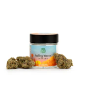 Pina Colada | Flower | 3.5g | Rolling Green