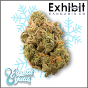 Pina Colada-Snowballs-By Eternal Fields-Deli Flower