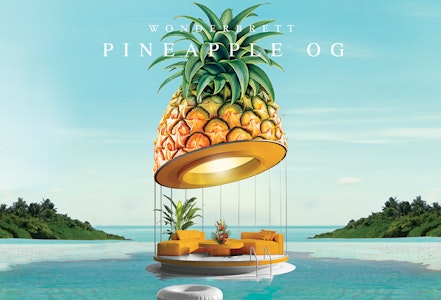 Bliss Co/Wonderbrett - Pineapple OG 3.5g