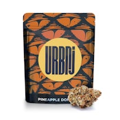 URBNJ Pineapple Donut 2g