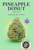 Pineapple Donut Buds 3.5