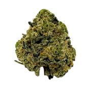 FC Pineapple Donut | 3.5g