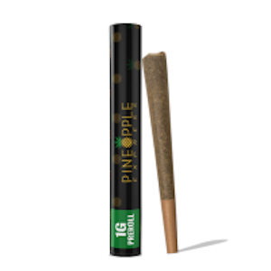 PINEAPPLE EXPRESS - GUSH MINTS PREROLL- 1G