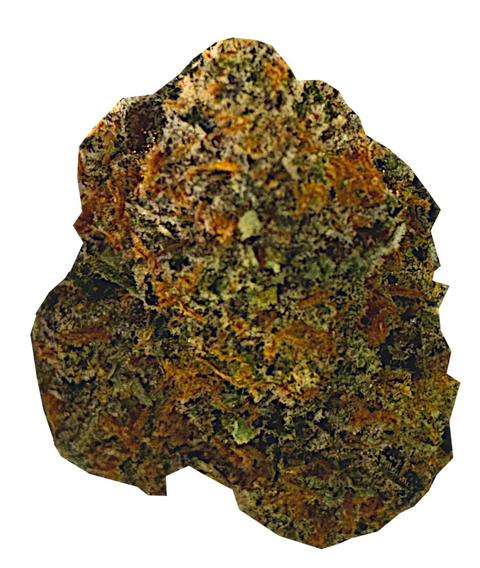 Couth Farms - Pineapple Express | Sativa Hybrid Main Image