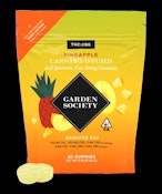 Garden Society Pineapple 1:1 CBG Gummies 100mg