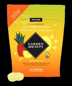 GARDEN SOCIETY - Garden Society Pineapple 1:1 CBG Gummies 100mg