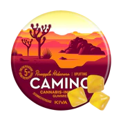 Pineapple Habanero (Uplifting) (S) | 100mg Gummies | Camino