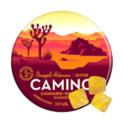 Pineapple Habanero (Uplifting) (S) | 100mg Gummies | Camino