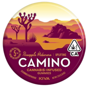 Camino - Pineapple Habanero - Gummies - 20pc - 100mg