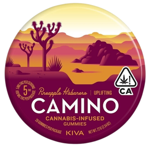 CAMINO - Camino - Uplifting - Pineapple Habanero - Gummies - 20pc - 100mg