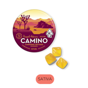 Camino - Pineapple Habanero - Gummies - 10mg - 10pc