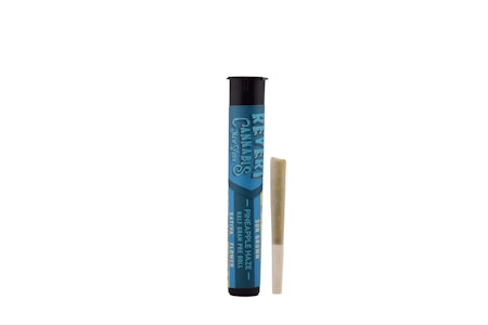 Revert - Pineapple Haze .5g Preroll | Revert