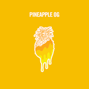  Flower | Wonderbrett | Pineapple OG | 7g