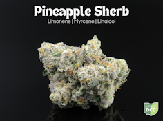 Pineapple Sherb- 14.15 grams