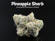 Pineapple Sherb- 2.83 grams