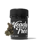 Heady Tree - Pineapple Slushee - 14g - Flower