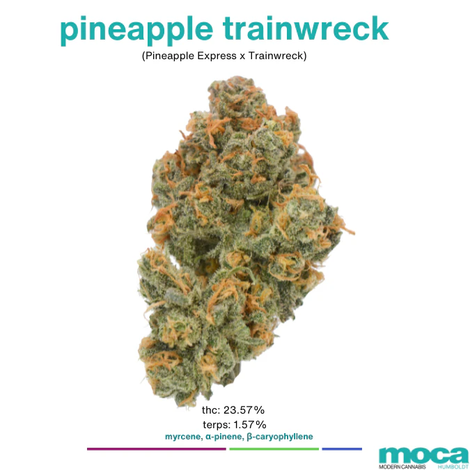 MOCA Flowers - MOCA Flowers - 1/8th Jar - Pineapple Trainwreck Main Image