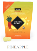 Garden Society CBG Gummy Pineapple 1:1 THC/CBG 100mg 20pk