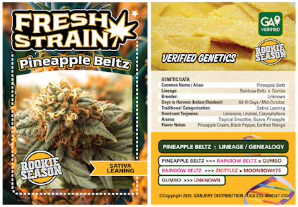 FRESH STRAIN - FRESH STRAIN | PINEAPPLE BELTZ | FLOWER | 3.5G