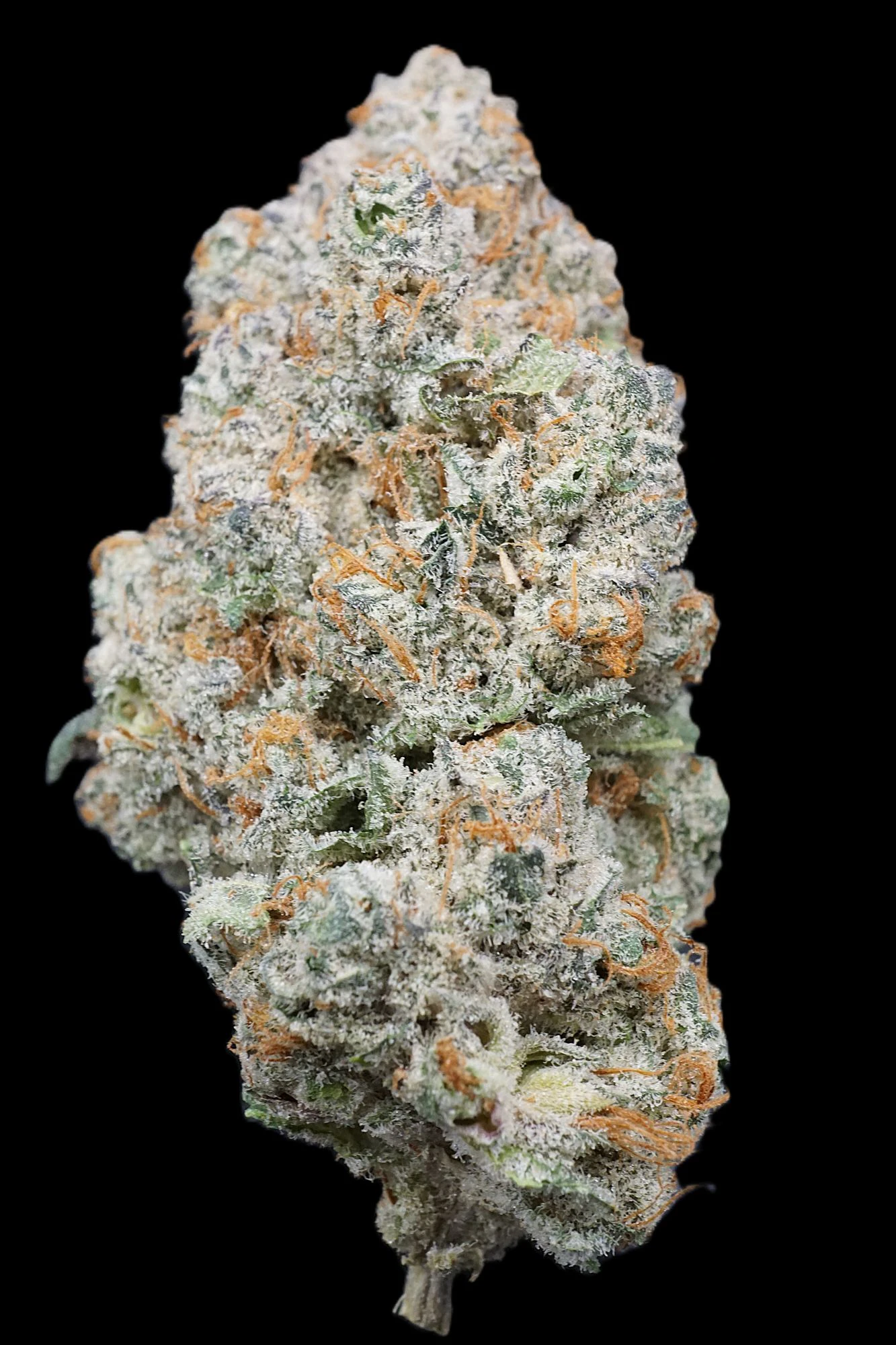 MJ Verdant - Pineapple Breeze - Buds Main Image