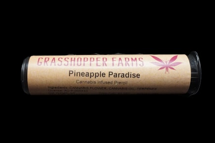 Resin Infused Casey Jones (1 G Pre Roll)