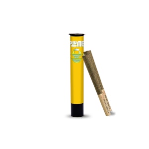 PLUME - PLUME - PINEAPPLE WHIP INFUSED 2 PK OF 0.5G PRE-ROLLS