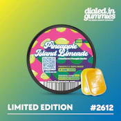 Dialed In - Gummies - Pineapple Island Limeade (S) - 100mg