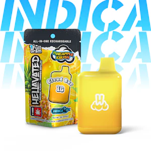 Hellavated - Hellavated | Disp Flavor 1g [I] | Pineapple Krush