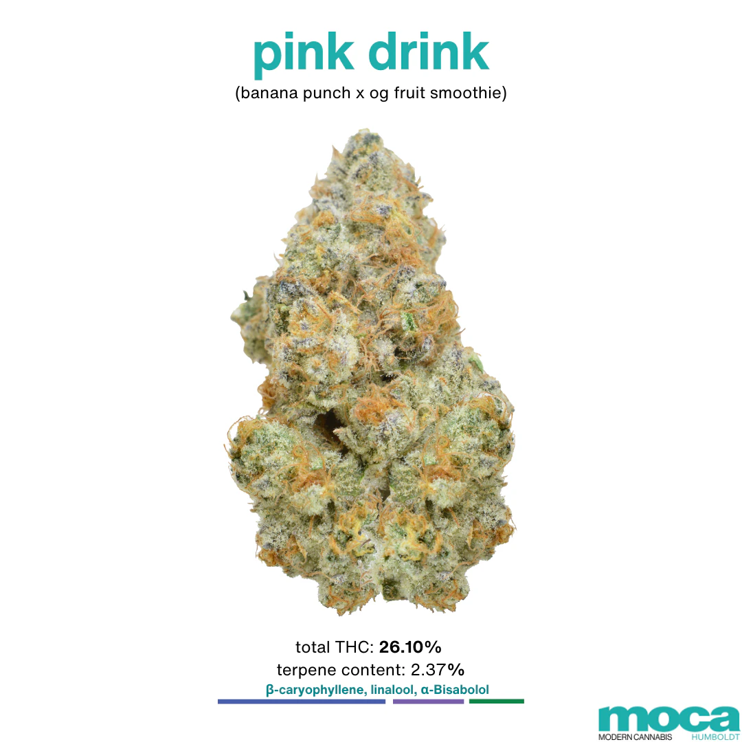 MOCA Flowers - MOCA Flowers - Smalls 1/4 Bag - Pink Drink Main Image