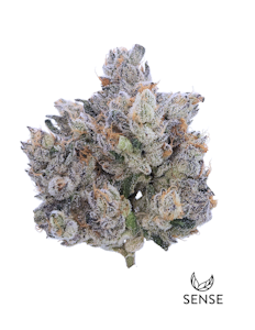 SENSE - Pink Guava - 3.5g (SH) - Sense