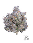 Pink Guava - 3.5g (H) - Sense