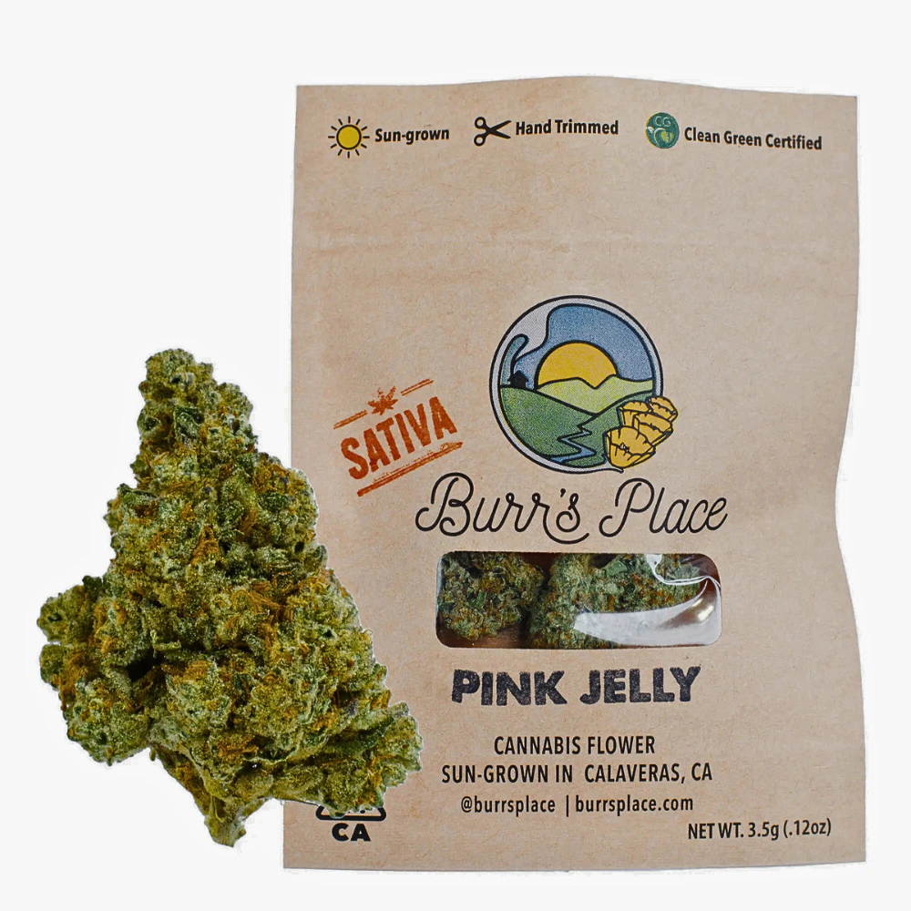 Burr's Place - Pink Jelly (Eighth) Main Image