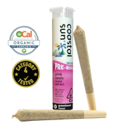Pink Oasis (H) | .75g 2pk Infused Preroll | Coastal Sun