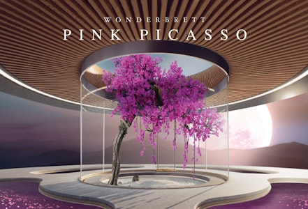 Bliss Co/Wonderbrett - Pink Picasso 3.5g