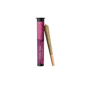 Revert - Pink Punch | Pre-roll | 0.5g | Revert