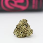 Runtz | Lemon Tree Runtz(sativa) | 3.5g