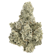 Pink Spritzer - 3.5g (I) - Sense