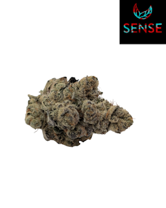 SENSE - Pink Spritzer