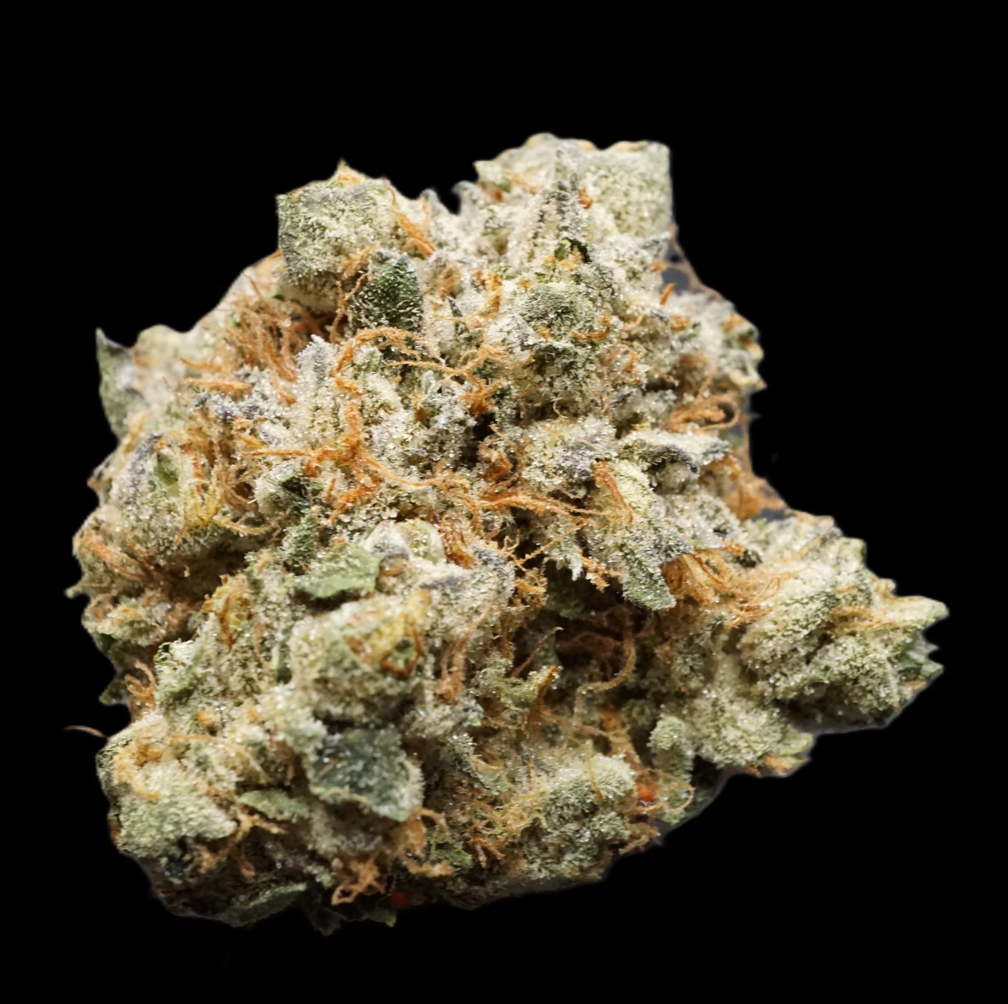 Vera Cannabis Co - Green Ganja | Red Zerbert | 1lb | 25.15% Main Image