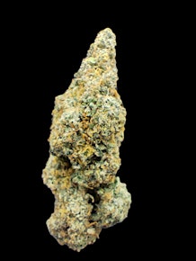 Pink Cookies - Bud (Hybrid)