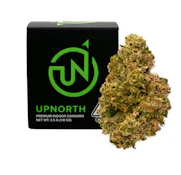 Pink Grapefruit - 3.5g (S) - Upnorth