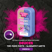 Pink Guava Runtz & Blueberry Certz (2g) Disposable