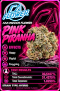 Pink Piranha