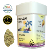 Pinyatti (S) | 7g Sun Grown Flower | Coastal Sun