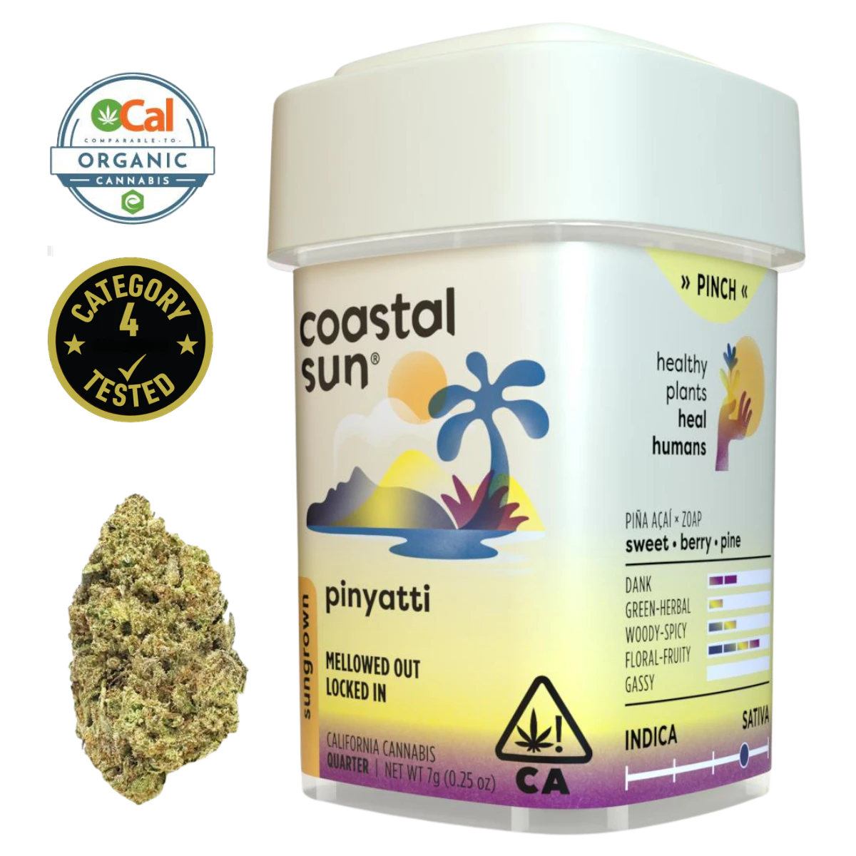 Coastal Sun - Pinyatti (S) | 7g Sun Grown Flower | Coastal Sun Main Image